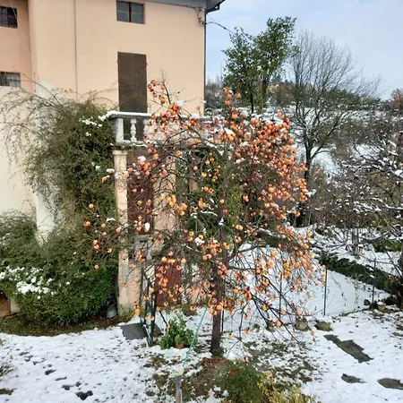 Del Masdone Rivalta (Parma)